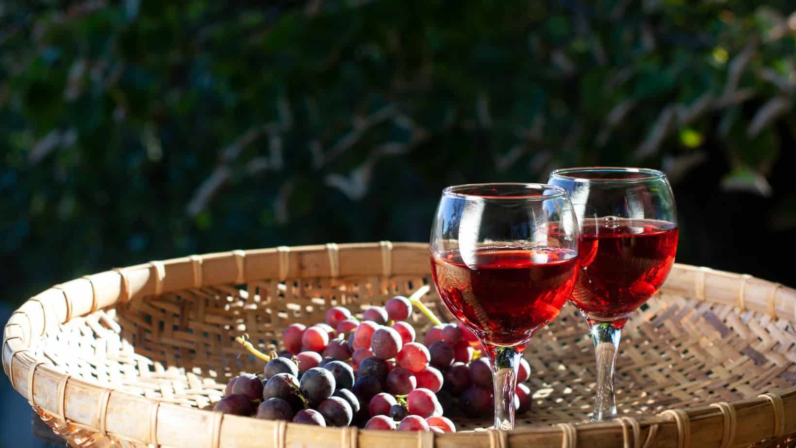 vini del piemonte